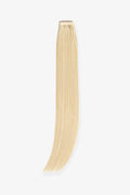 Amora